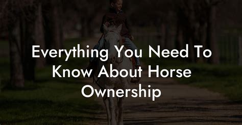 Horse ownership on the rise in Singapore, Life & Culture.